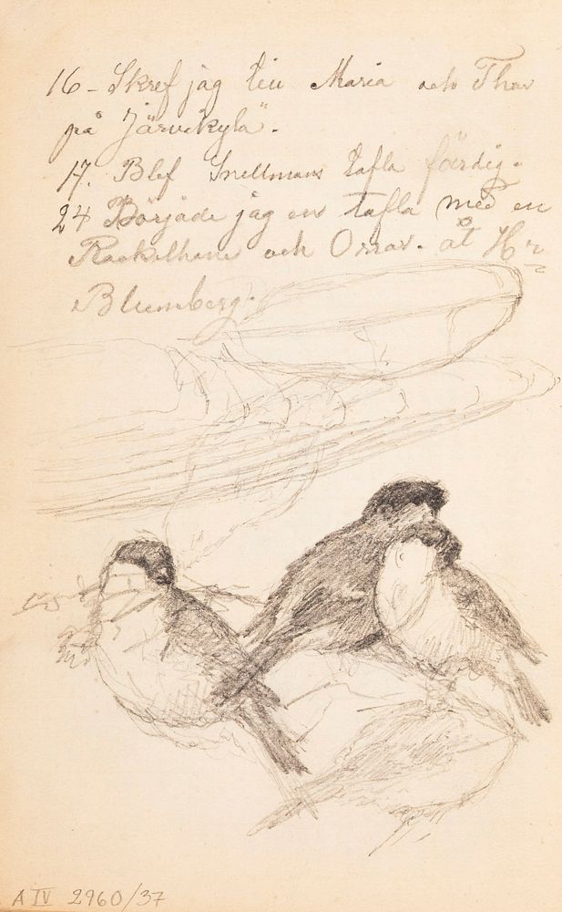 (unknown), 1885part of a sketchbook
