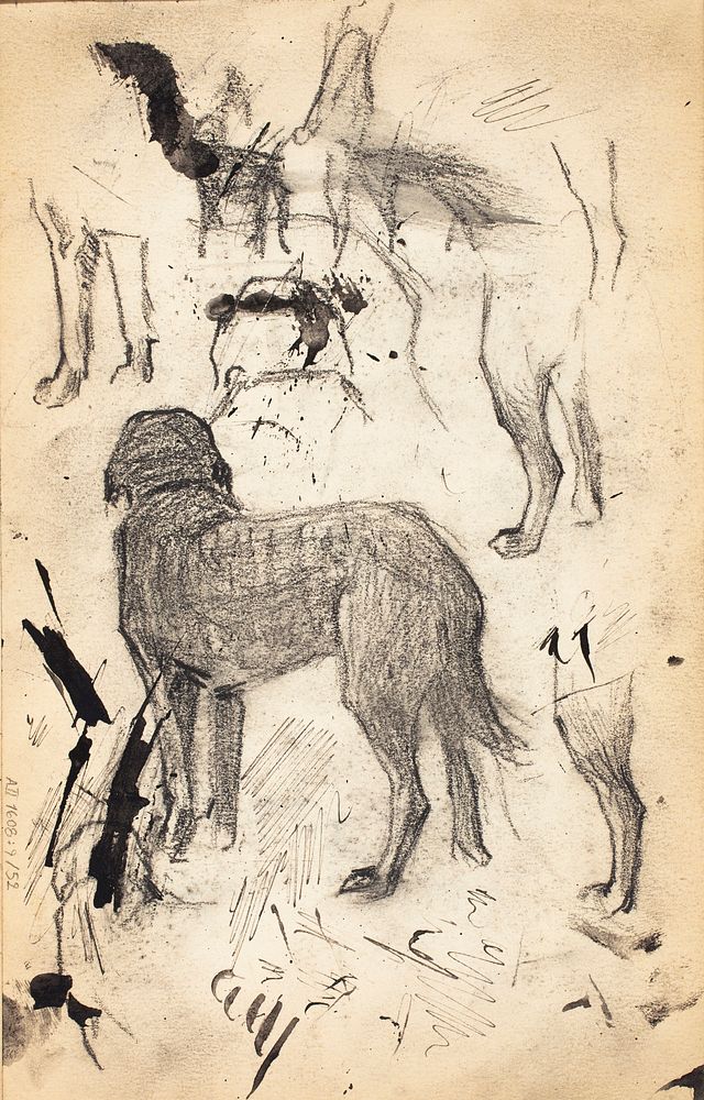 Koira ja tassuja, luonnos, 1889 - 1891part of a sketchbook by Magnus Enckell