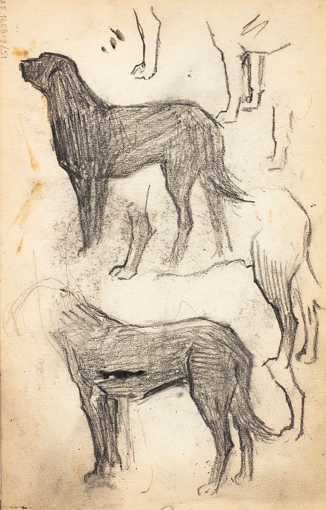 Koira, luonnos, 1889 - 1891part of a sketchbook by Magnus Enckell
