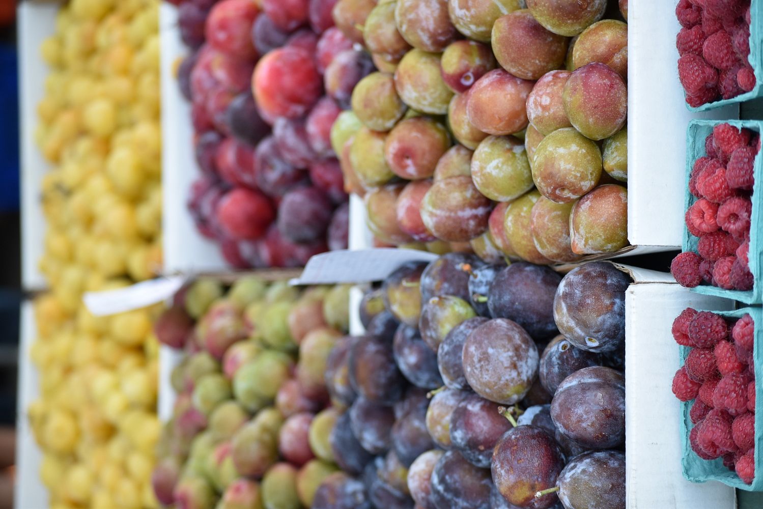 Huntington farmer's market 