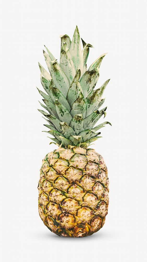 Pineapple image on white