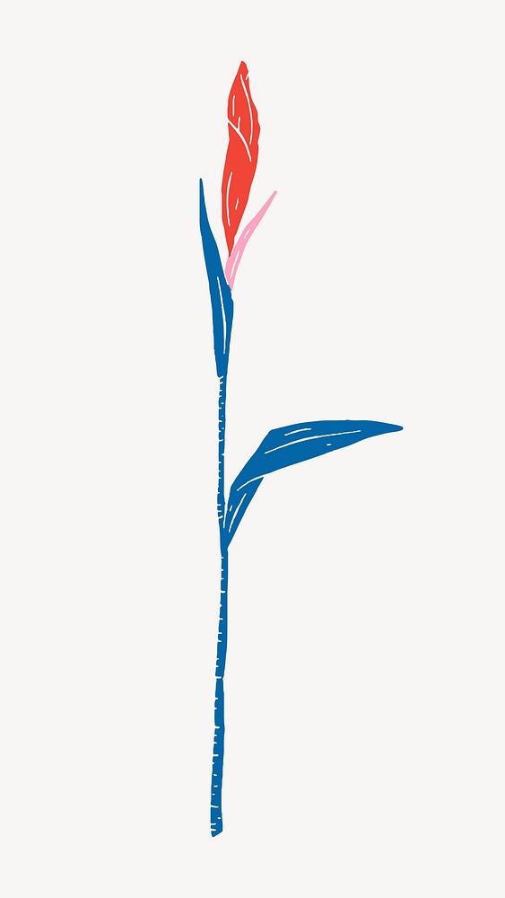 Aesthetic flower illustration collage element vector