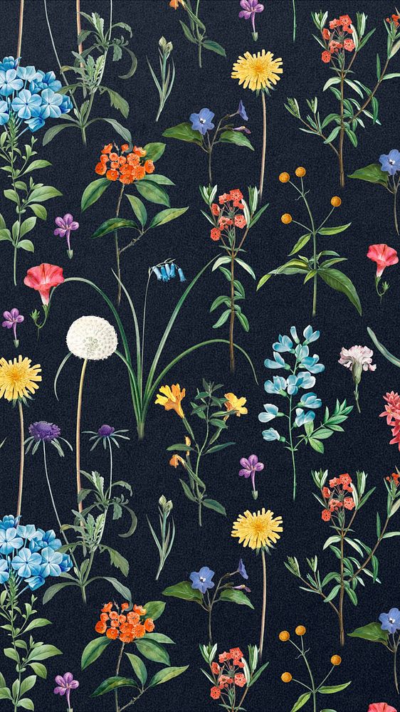 Aesthetic floral pattern iPhone wallpaper, vintage flower illustration by Pierre Joseph Redouté. Remixed by rawpixel.