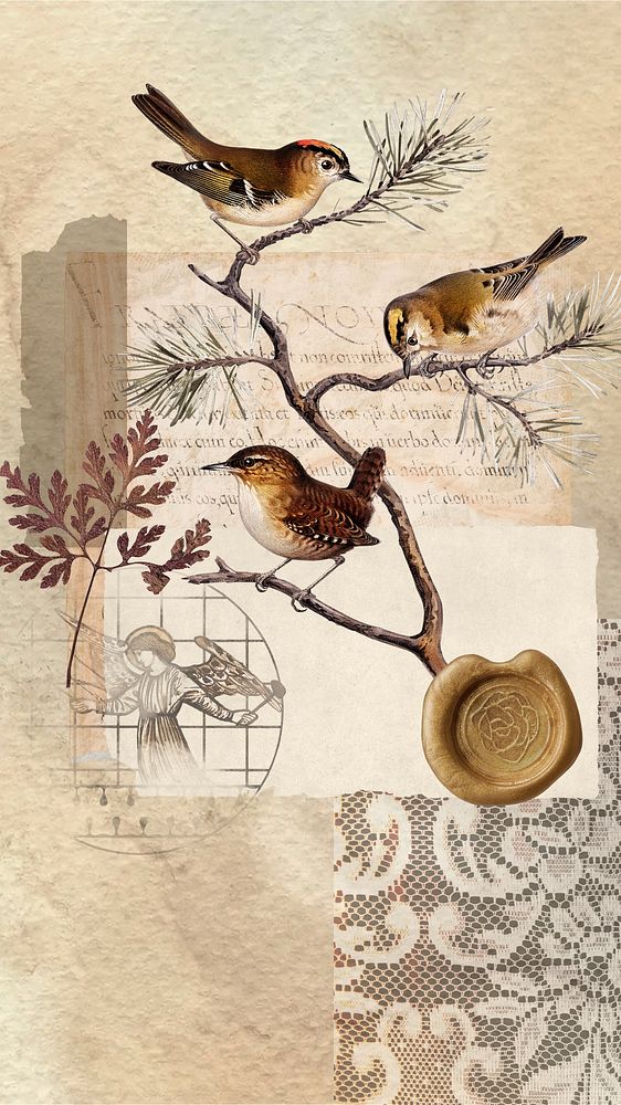 Autumn bird collage iPhone wallpaper, nature aesthetic background