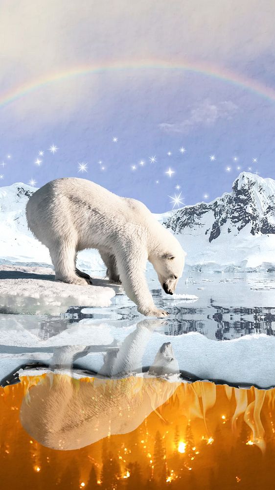 Polar bear environment phone wallpaper, north pole aesthetic