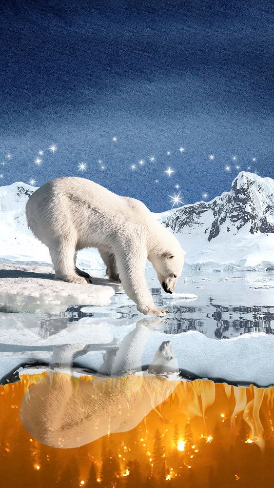 Polar bear environment phone wallpaper, north pole aesthetic