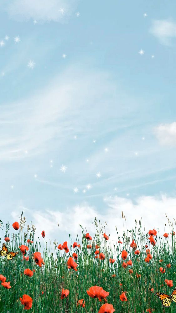 Aesthetic sky phone wallpaper, wildflower border remix background