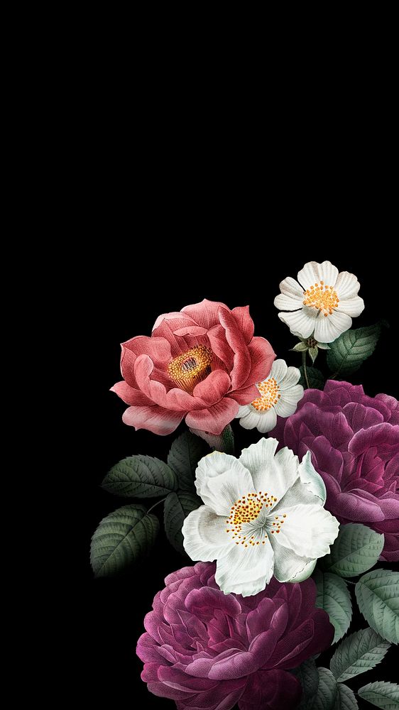 Vintage flower black iPhone wallpaper illustration