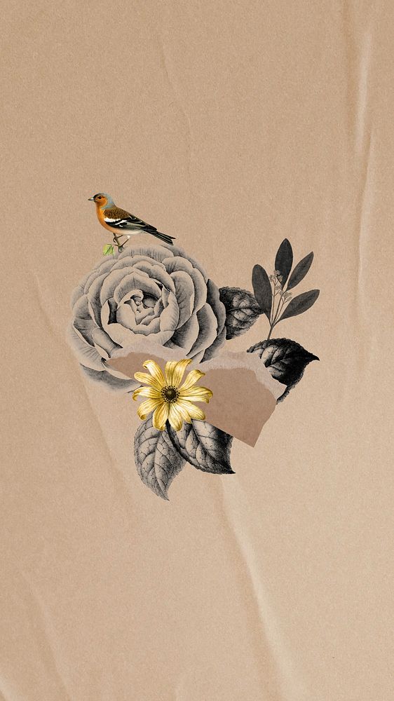 Bird and flower ephemera iPhone wallpaper