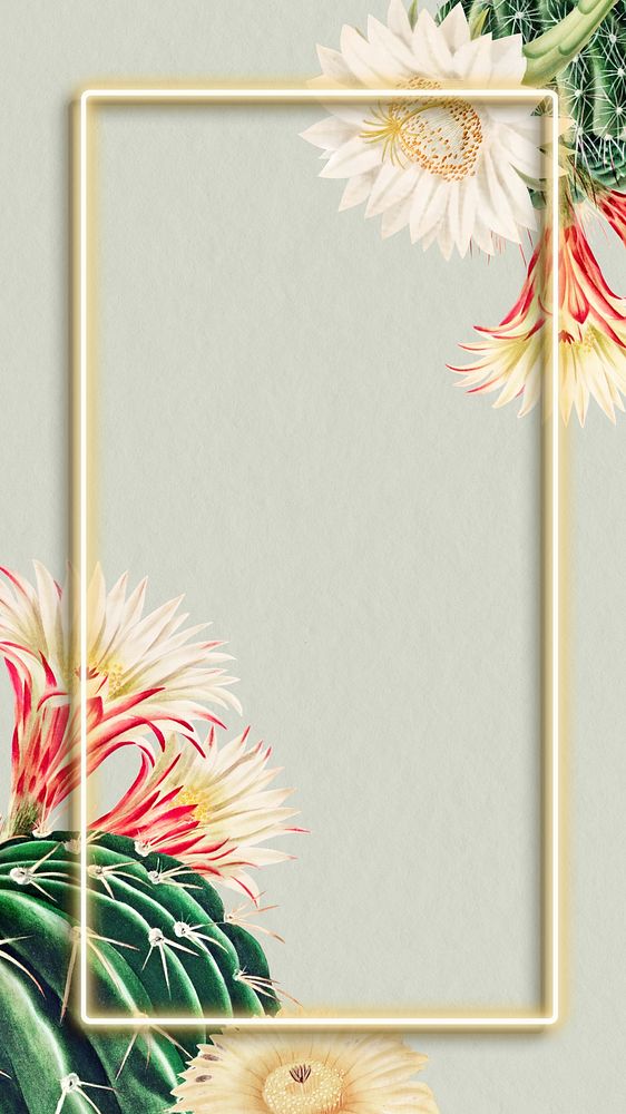 Aesthetic cactus, frame iPhone wallpaper