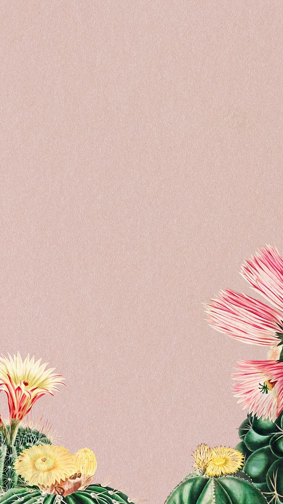 Cactus illustrations, pink iPhone wallpaper