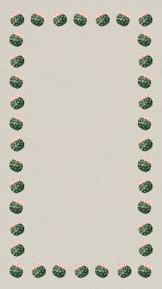 Cactus pattern border iPhone wallpaper