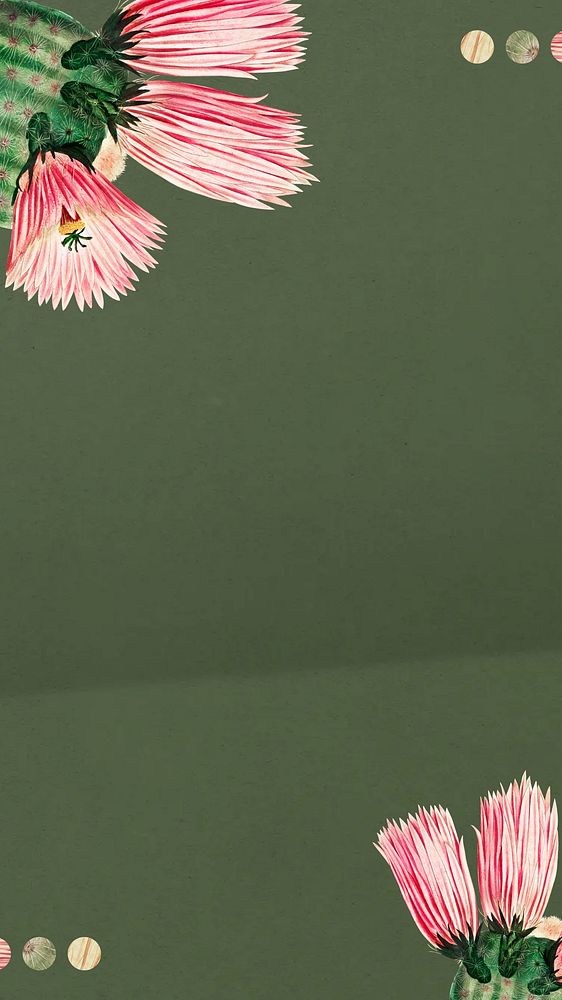 Blooming cactus, green iPhone wallpaper