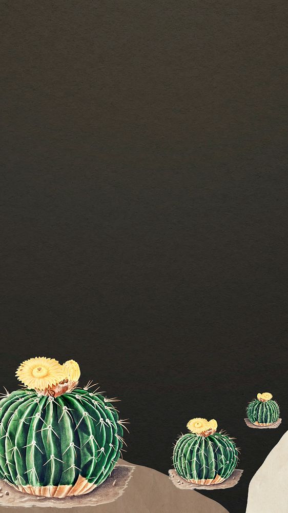 Cactus border, dark iPhone wallpaper