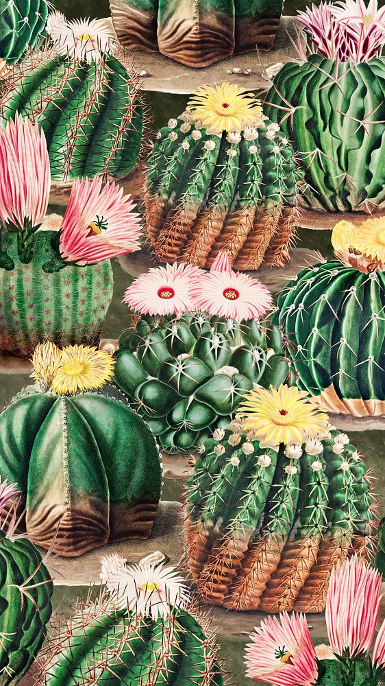 Watercolor cactus pattern iPhone wallpaper