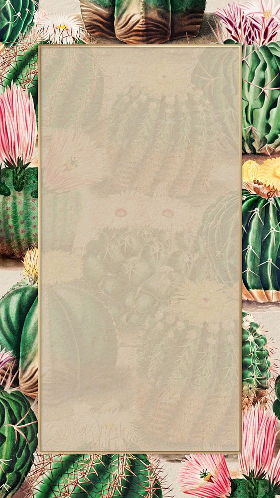 Cactus pattern frame iPhone wallpaper