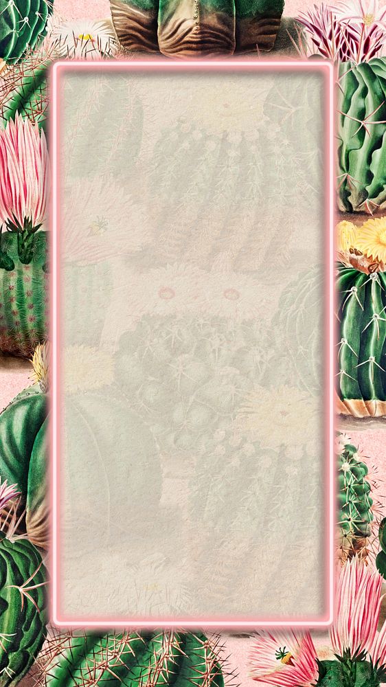 Cactus pink frame iPhone wallpaper