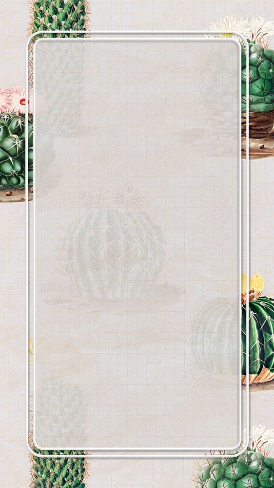 Gray cactus frame iPhone wallpaper