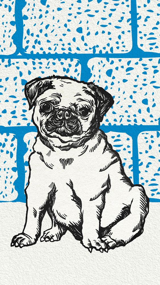 Vintage pug, blue iPhone wallpaper