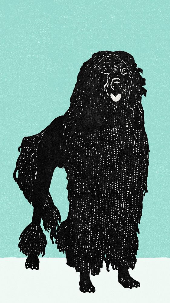 Vintage poodle illustration iPhone wallpaper