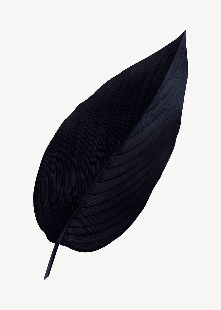 Vintage black leaf illustration psd