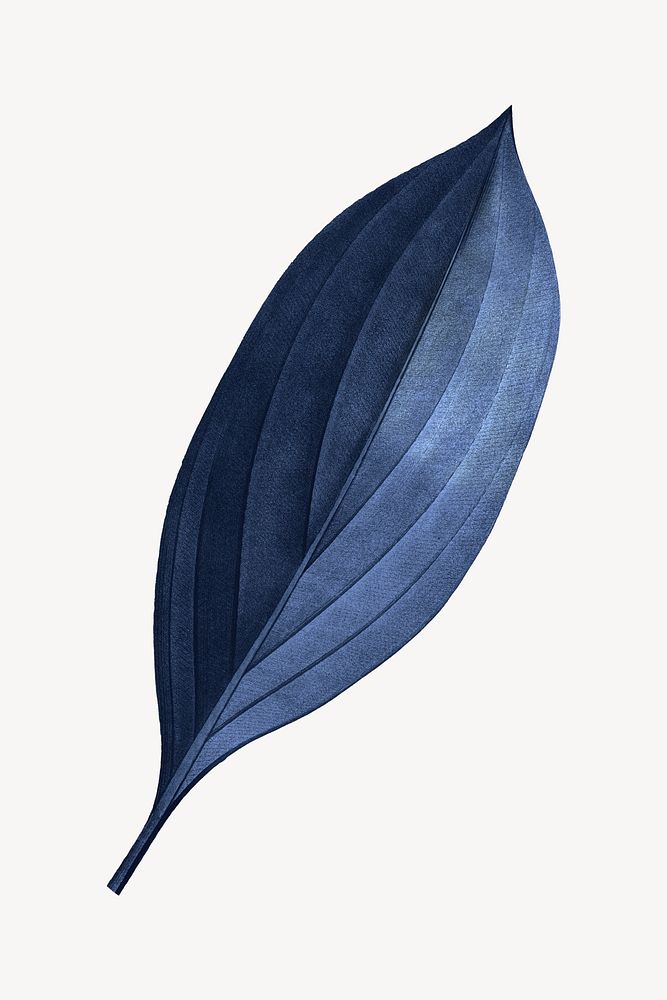 Vintage blue leaf illustration psd
