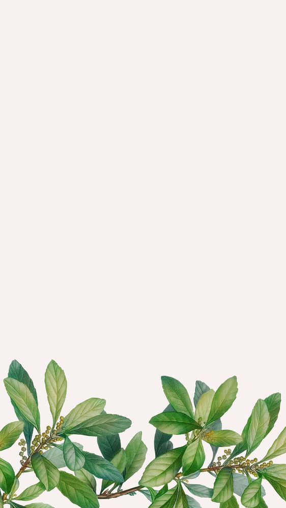 Tropical beige mobile wallpaper, leaf border