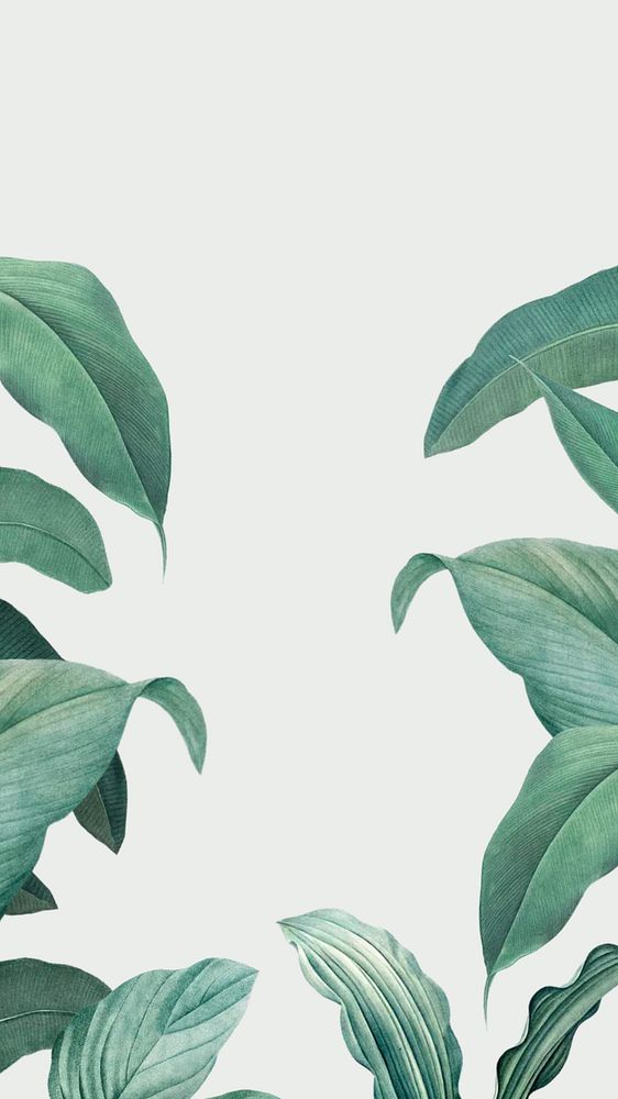 Tropical green mobile wallpaper, leaf border design