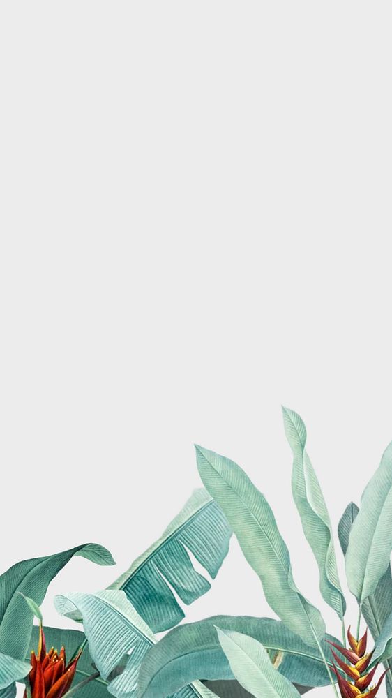 Tropical green mobile wallpaper, plant border design