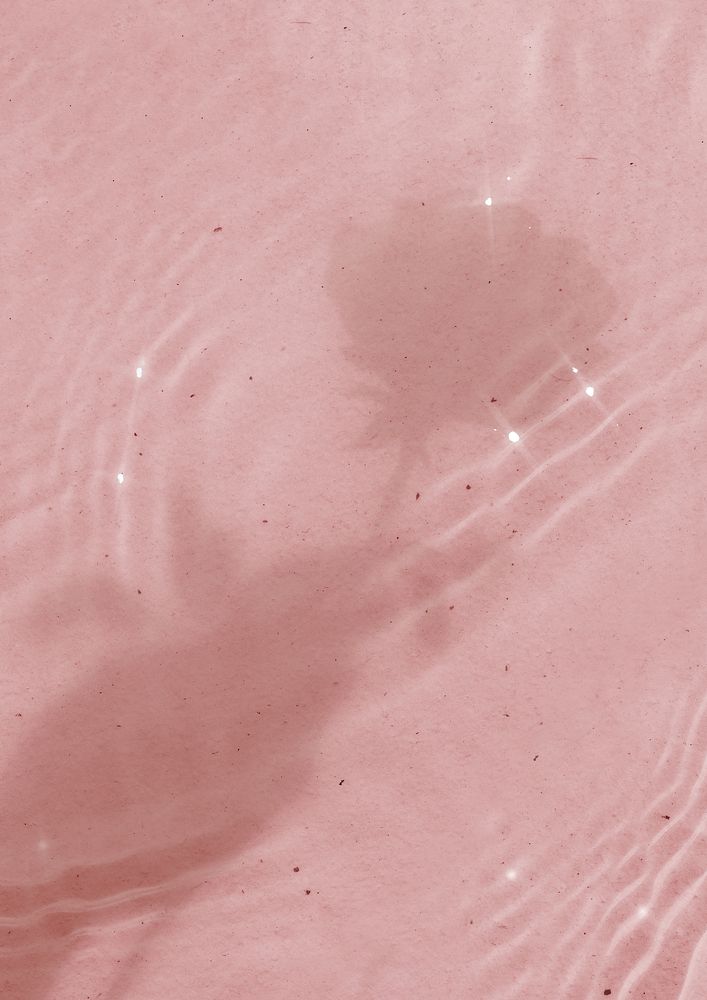 Pink pool water background, rose flower shadow