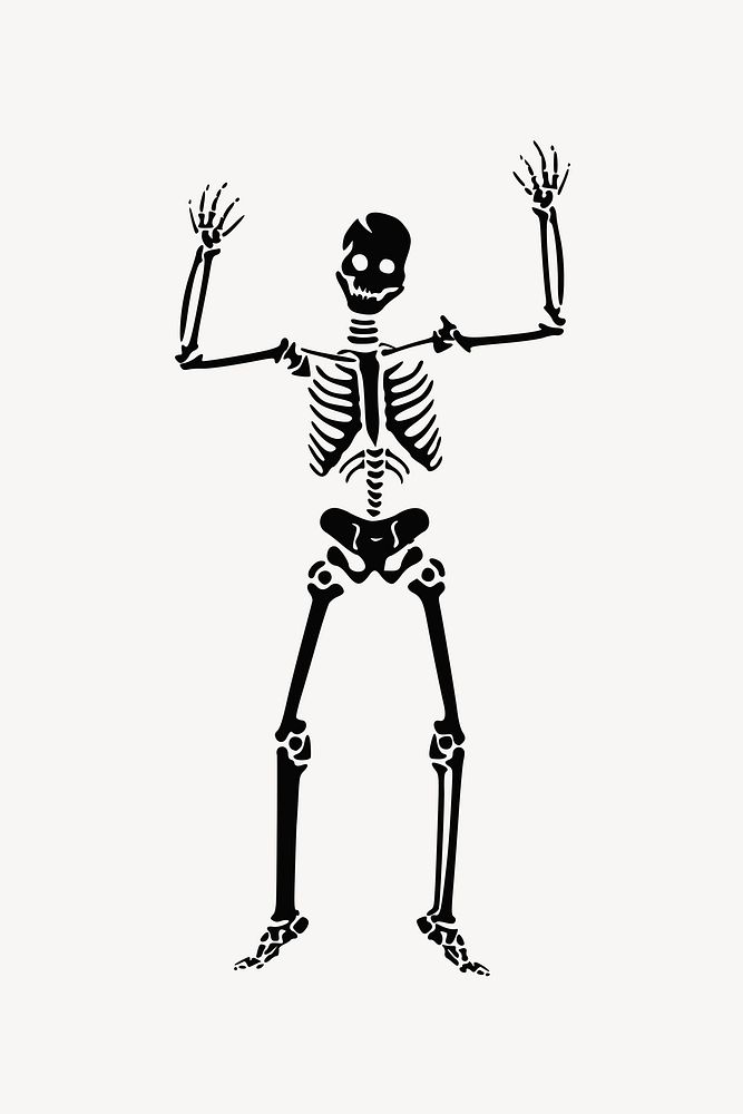 Human skeleton clipart psd. Free public domain CC0 image.