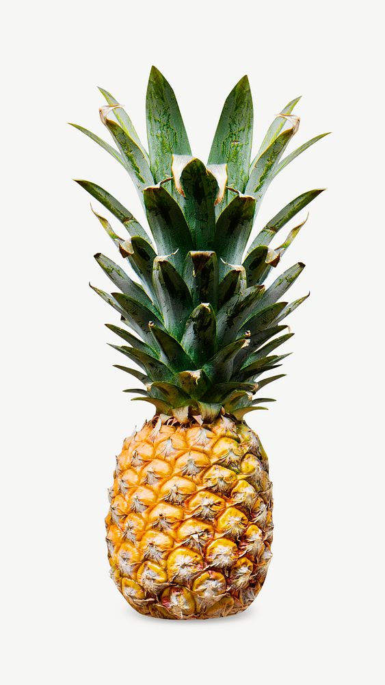 Pineapple image graphic psd