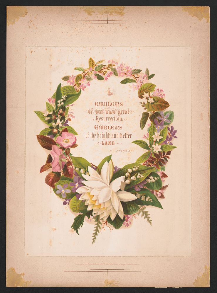 Wreath no. 8 (1874) by L. Prang & Co.  