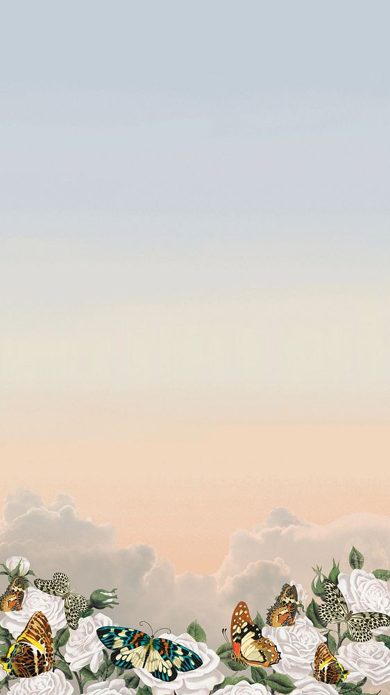 Aesthetic sky iPhone wallpaper, vintage butterfly border background