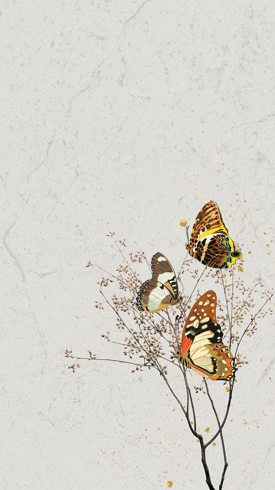 Autumn butterfly iPhone wallpaper, gray texture border background, remixed by rawpixel.