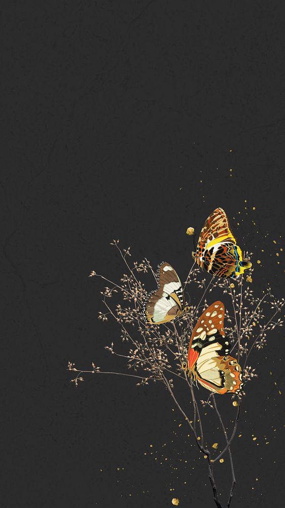 Autumn butterfly iPhone wallpaper, black texture border background, remixed by rawpixel.