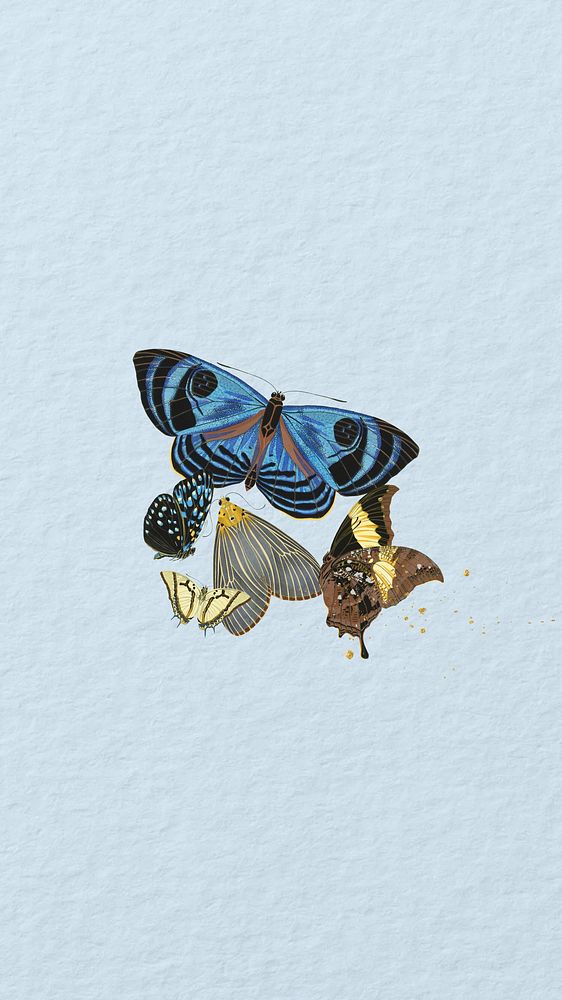 Blue vintage butterflies phone wallpaper, textured background, remixed from the artwork of E.A. S&eacute;guy.