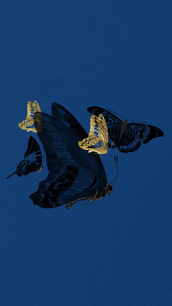 Vintage butterfly mobile wallpaper, dark blue background, remixed from the artwork of E.A. S&eacute;guy.
