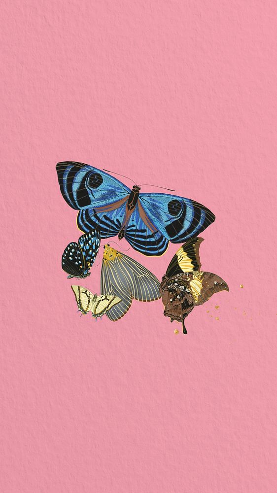 Pink vintage butterflies phone wallpaper, textured background, remixed from the artwork of E.A. S&eacute;guy.