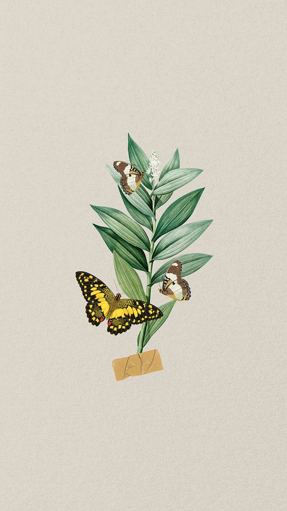 Vintage botanical butterfly iPhone wallpaper, beige background, remixed from the artwork of E.A. S&eacute;guy.
