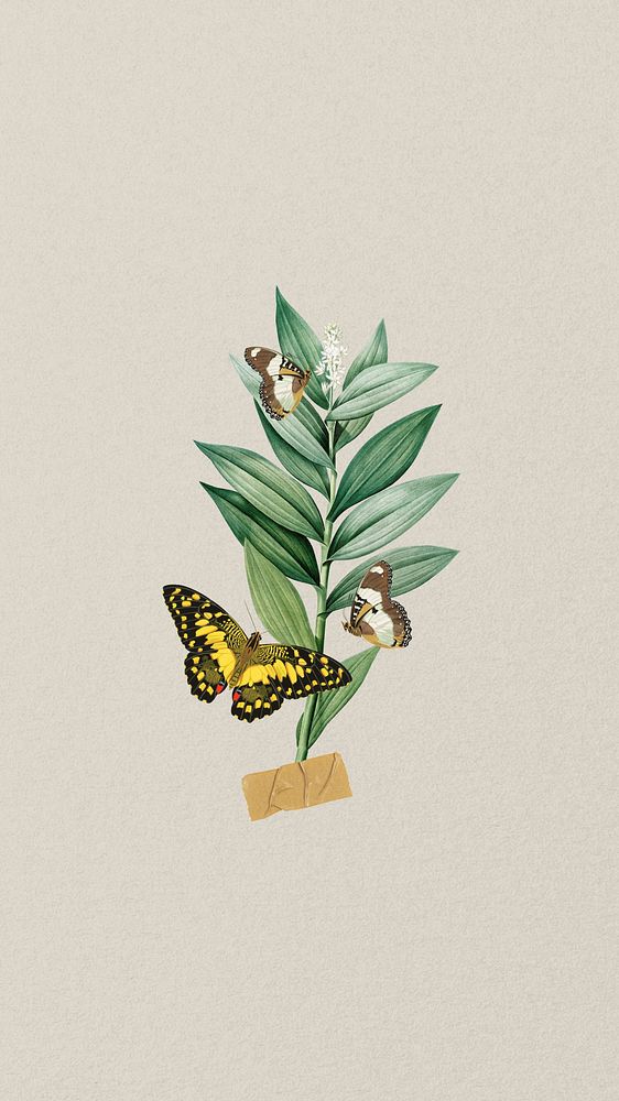 Vintage botanical butterfly iPhone wallpaper, beige background, remixed from the artwork of E.A. Séguy.