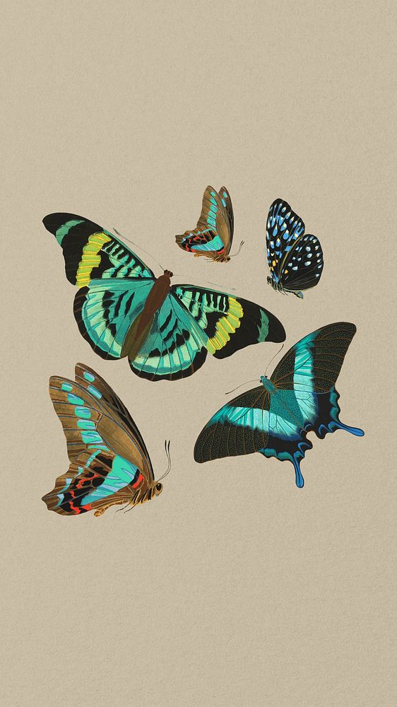 E.A. S&eacute;guy's butterfly iPhone wallpaper, vintage brown background, remixed by rawpixel.