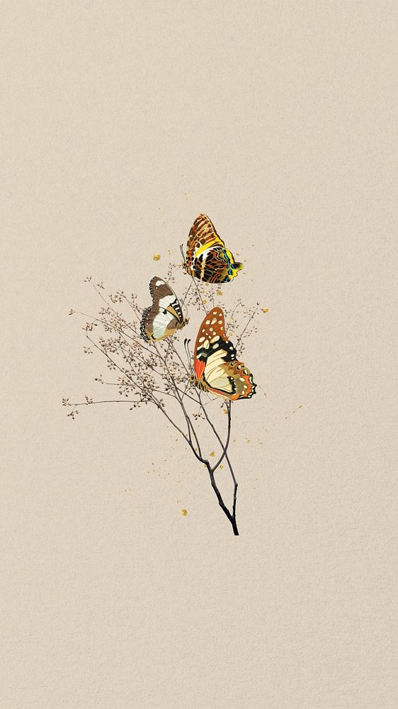 Autumn aesthetic butterfly phone wallpaper, beige background, remixed from the artwork of E.A. S&eacute;guy.