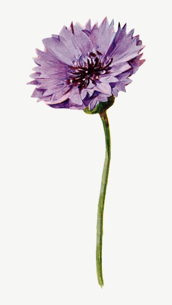 Purple flower collage element psd