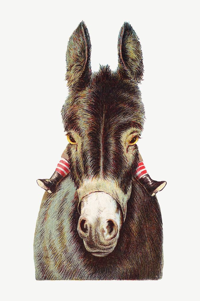 Vintage donkey, animal illustration psd. Remixed by rawpixel.