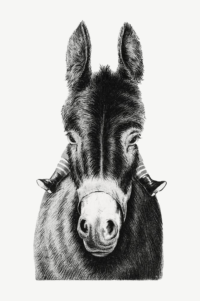 Vintage donkey, animal illustration psd. Remixed by rawpixel.