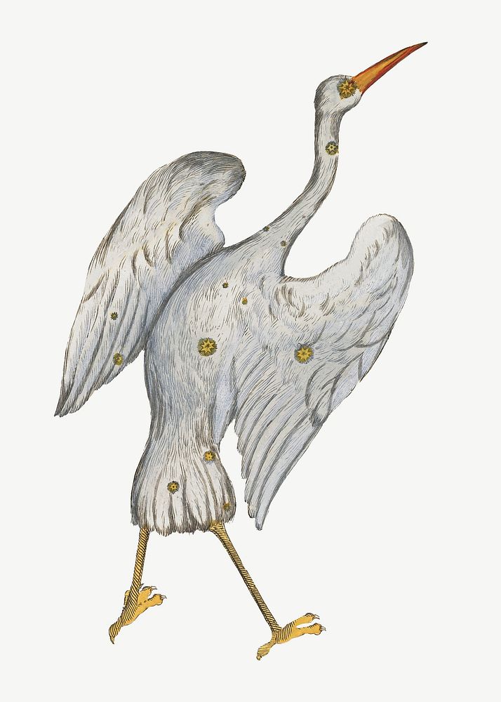 Grus bird constellation, astrology animal illustration psd by Ignace Gaston Pardies. Remixed by rawpixel.