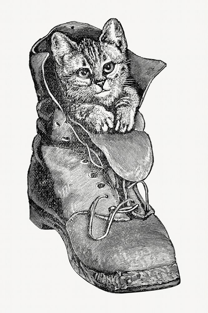 Cat in a boot, funny animal vintage illustration. Remixed by rawpixel.