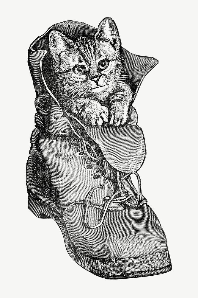 Cat in a boot, funny animal vintage illustration psd. Remixed by rawpixel.