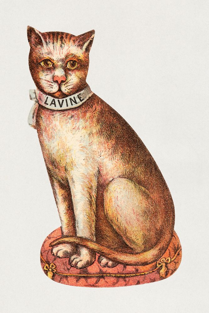 Lavine (1870&ndash;1900), vintage cat illustration. Original public domain image from Digital Commonwealth. Digitally…